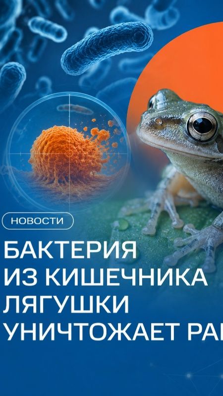 УКОЛ КОТОРЫЙ УНИЧТОЖАЕТ РАК НАВСЕГДА [get-save.com]