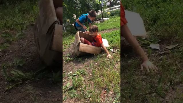 Освежающая викторина челлендж