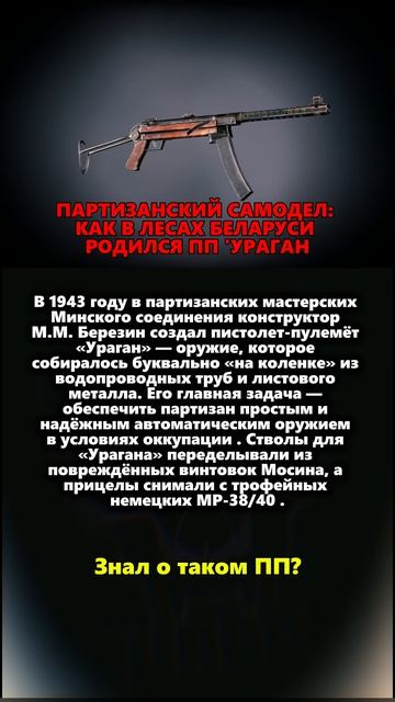 ПАРТИЗАНСКИЙ САМОДЕЛ: В ЛЕСАХ БЕЛАРУСИ РОДИЛСЯ ПП 