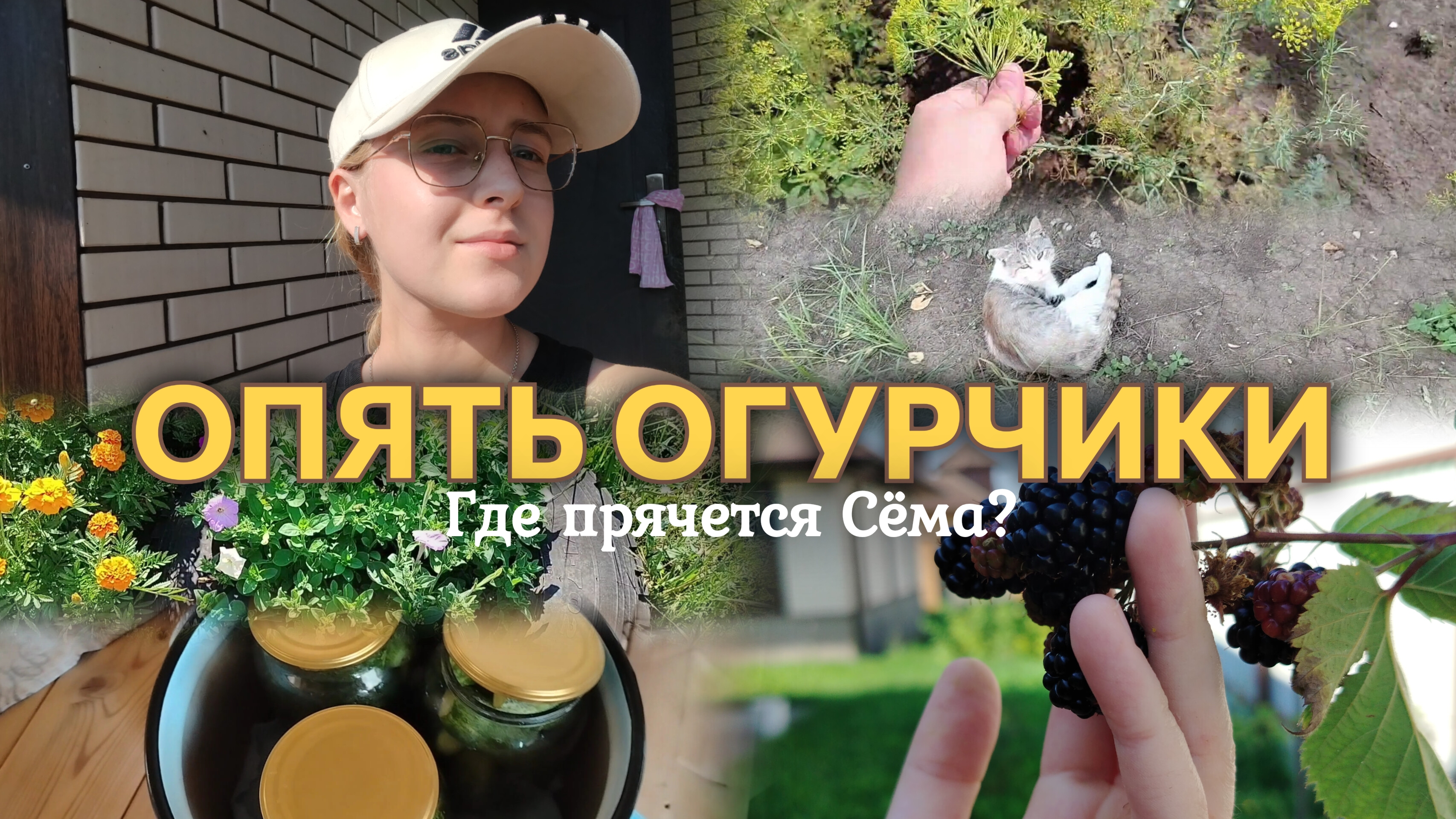 ВЛОГ ГДЕ ПРЯЧЕТСЯ СЁМА?🐈⬛ Продолжаю вышивать🪡