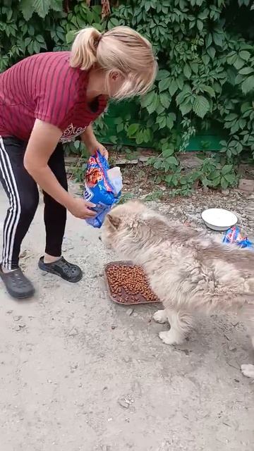 Вкусняшки