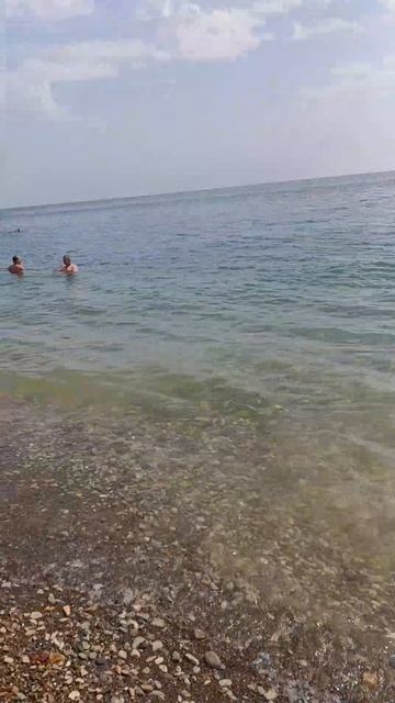 ДЖУБГА Молчанова пляж 08 08 2026
