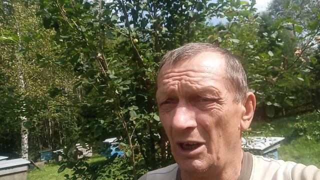 Что есть , то есть . Пчеловодство без приукрас .
