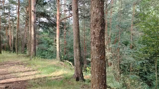 Защитим себя сами от мошенников!