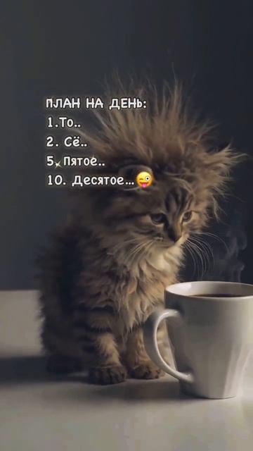 УТРО СУББОТЫ