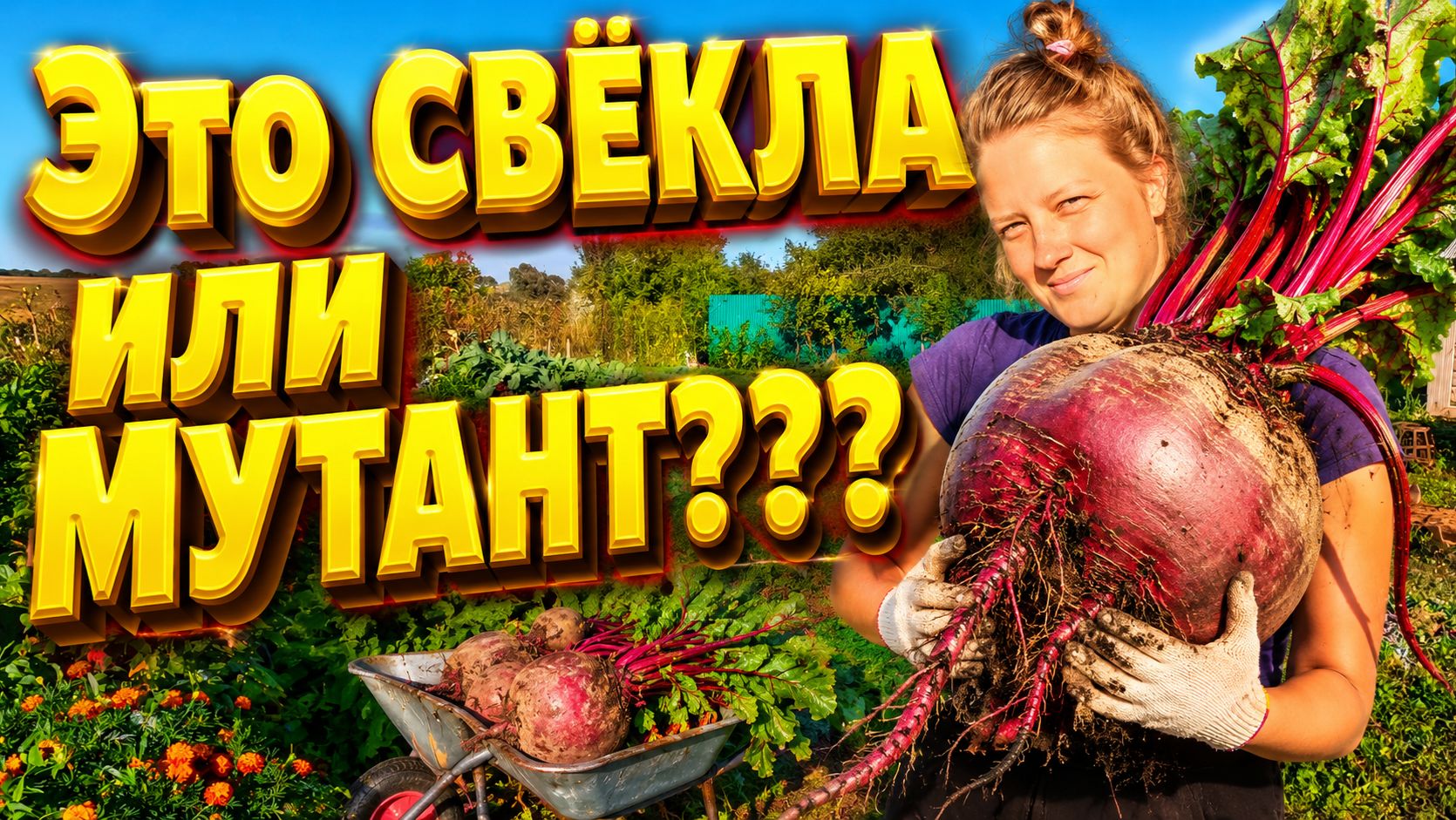 ЭТО СВЁКЛА ИЛИ МУТАНТ | Дом в деревне | Деревенская жизнь