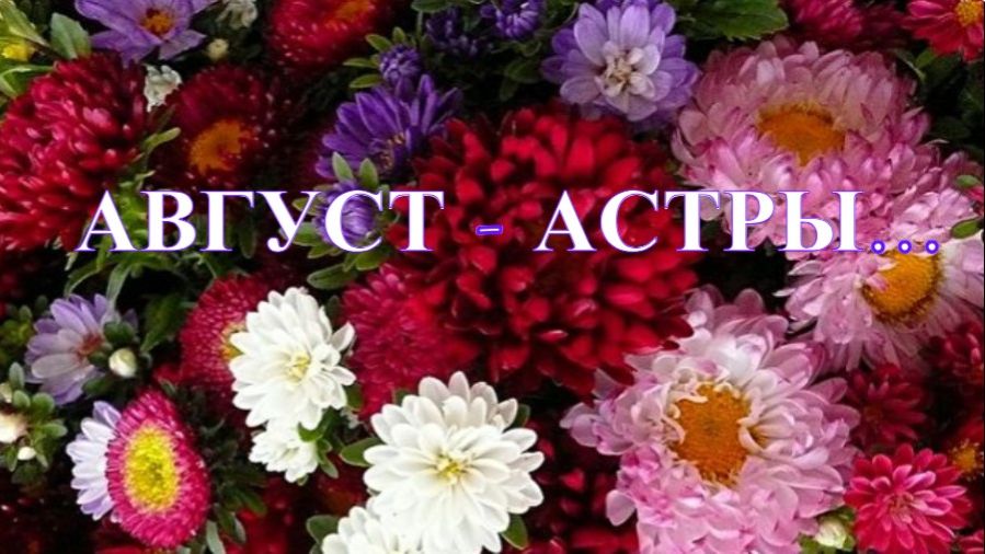 АВГУСТ - АСТРЫ... исп. ЕЛЕНА  ФРОЛОВА. Стихи МАРИНЫ ЦВЕТАЕВОЙ.