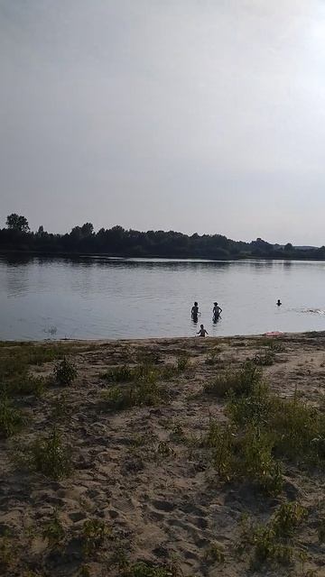 Купание в реке. р Ока.