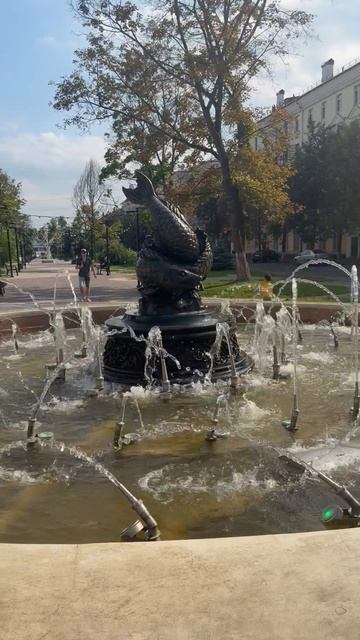 Главная аллея Электростали: почему сюда хочется возвращаться снова и снова.