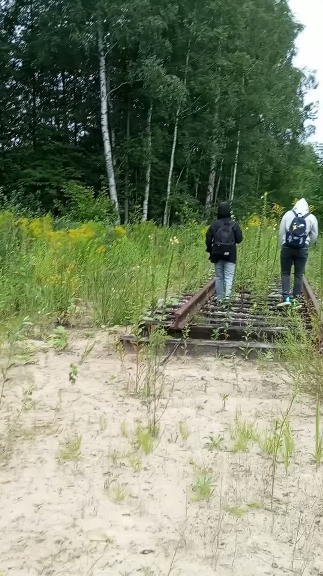 Заброшенная железная дорога