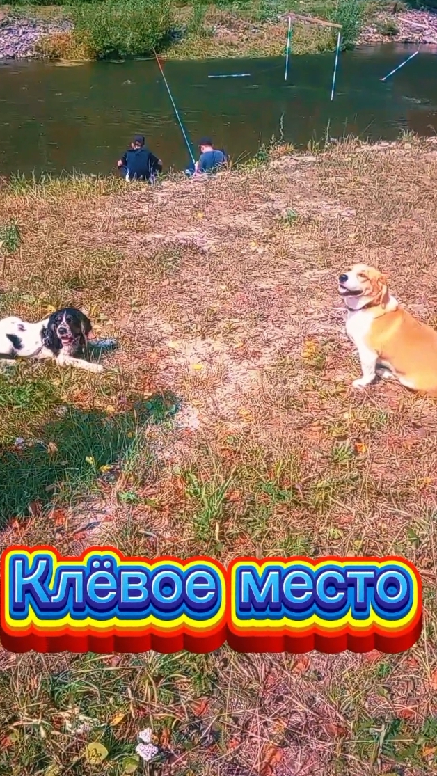 Клёвое место у речки.