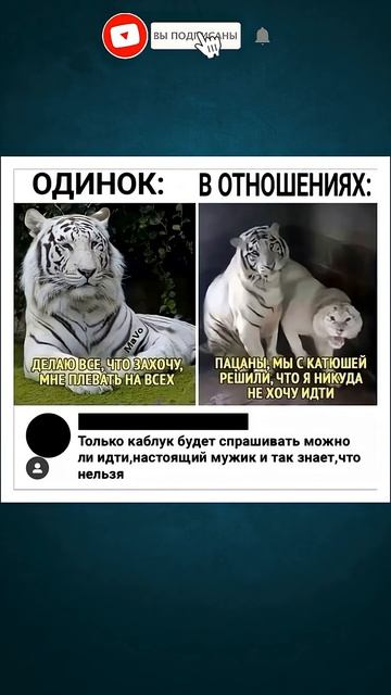 шуточное смех мем мемы ржака позитив юмор анекдоты смешноевидео приколы смешно