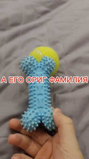 РАЗОБЛАЧЕНИЕ НА ФАМИЛИЮ ИЛЬИ