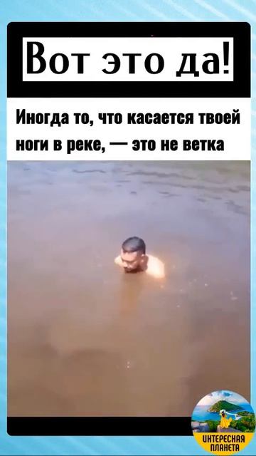 БЫВАЕТ