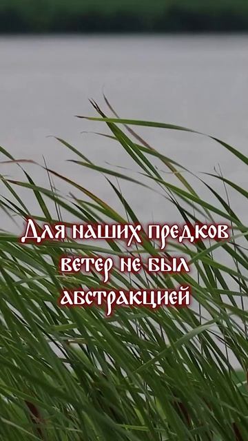 8 августа — День Стрибога Летнего. Как заговорить вернуться к истокам? #магиястихий