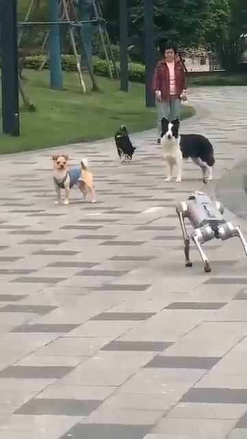 БЫВАЕТ