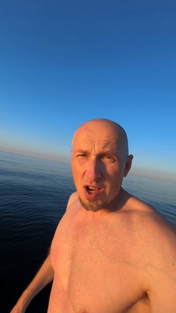 Сколько плавников надо