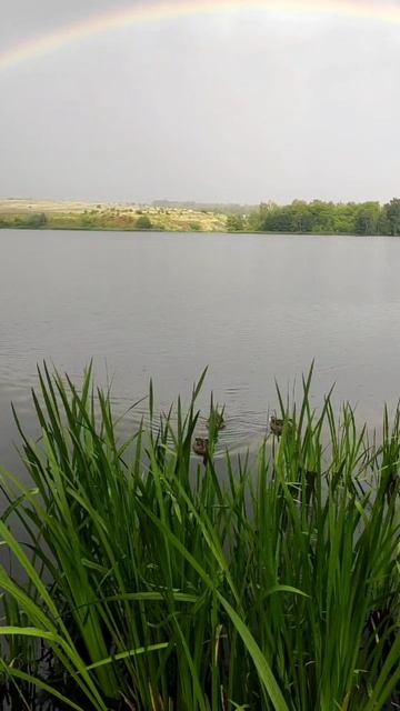 На рыбалке