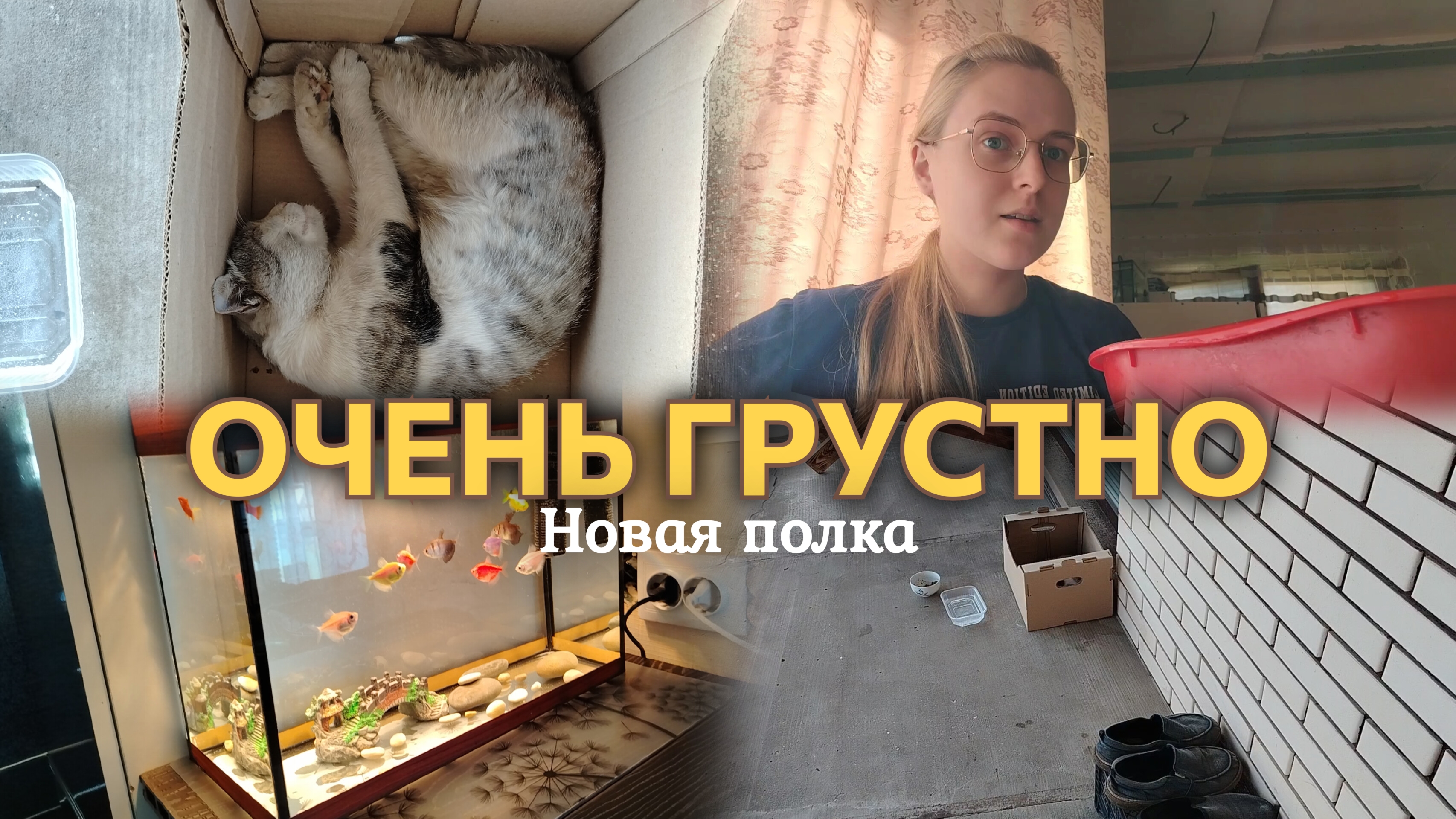ВЛОГ НОВАЯ ПОЛКА🔨 Что случилось с креветкой?🦐