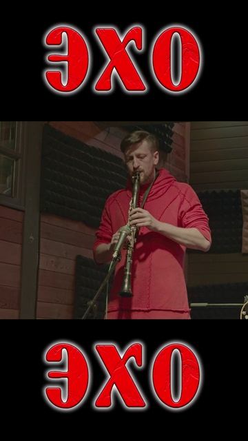 Фрегат Кларнет Https://band.link/ZNQ2V #shorts #фрегат #эхмузыка #эхомотив  #музыкальность