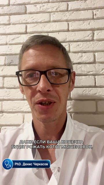Кастрация животных