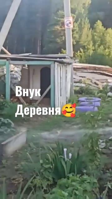 Внук деревня