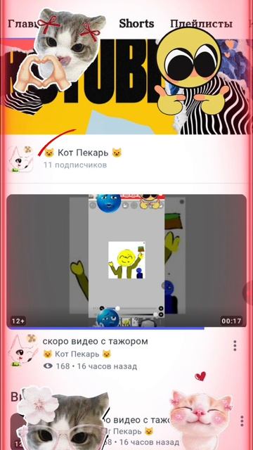 спс за 11 подпишиков