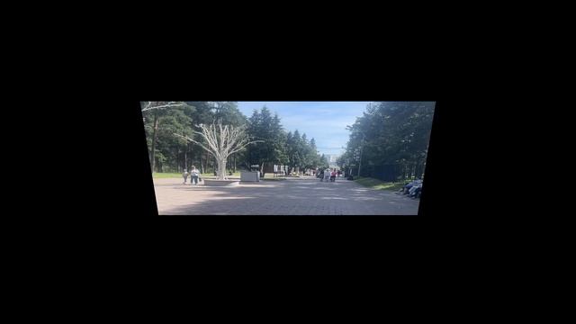 Гуляем в парке Гагарина