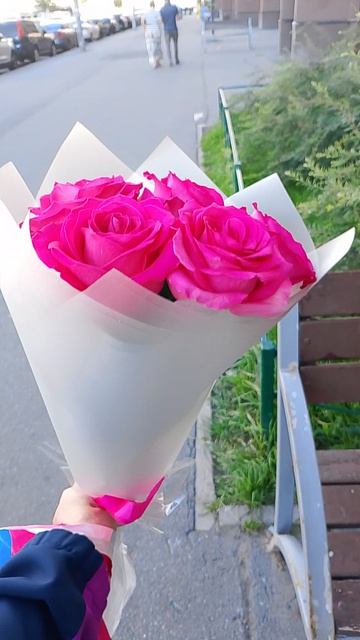 Розовые розы