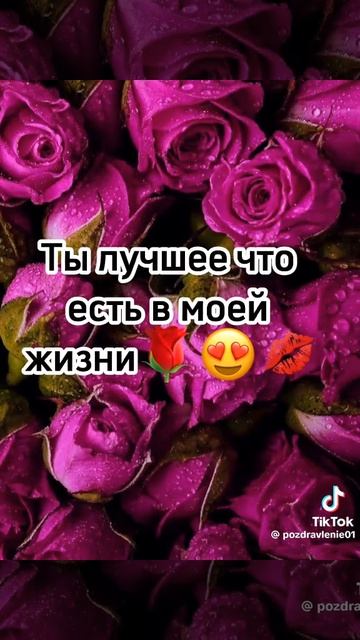14281.mp4 будьте добрее