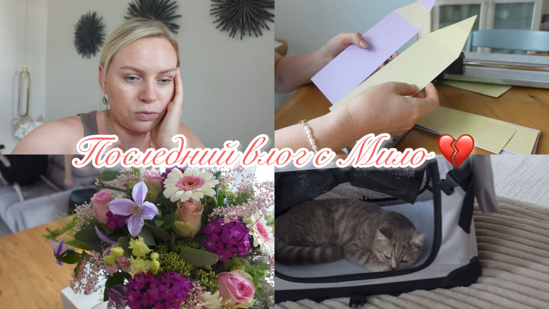 VLOG🇩🇪:К СОЖАЛЕНИЮ МИЛО НЕ СТАЛО😢🪽