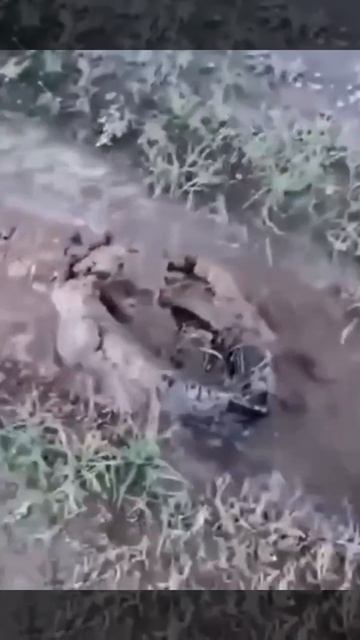 Способ неплохой но каким образом протянуть трос туда?