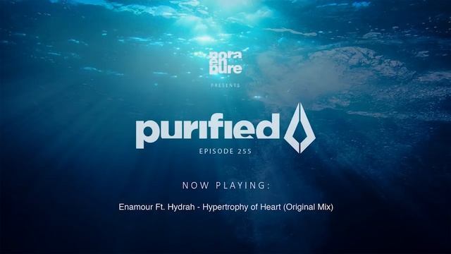 Nora En Pure - Purified Radio Episode 255