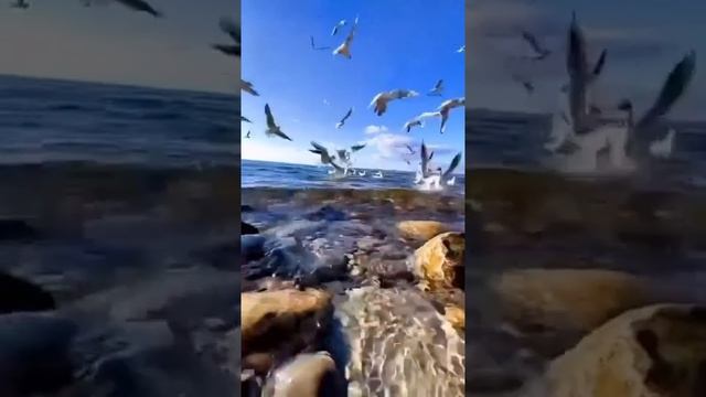 Быть хорошим для себя