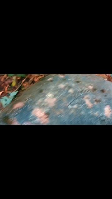 НЕМЕЦКОЕ СЕМЕЙНОЕ ЗАХОРОНЕНИЕ В ГЛУХОМ ЛЕСУ #metaldetecting #находкисметаллоискателем #коп