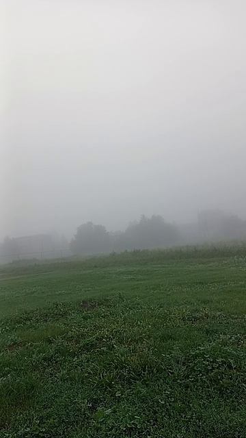 нижняя Быковка