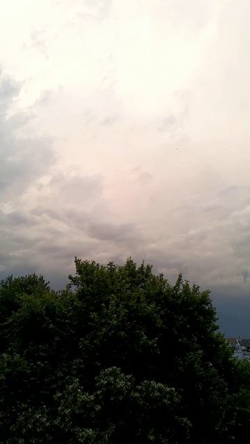 #nature