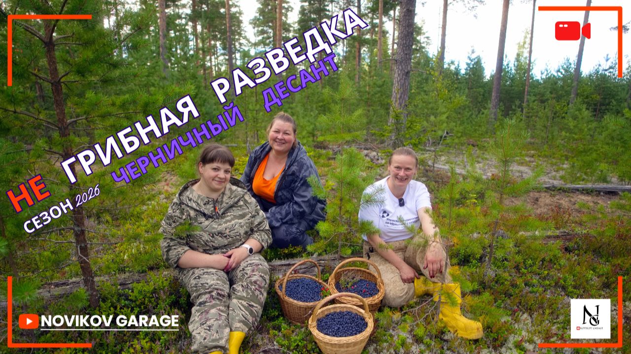 Грибная разведка 08 августа 2026. Приозерский район.
