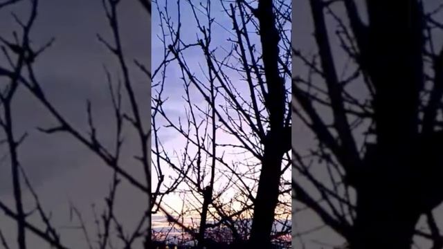 #sky