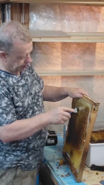 Вырезание сотов с пергой для заморозки и переработки