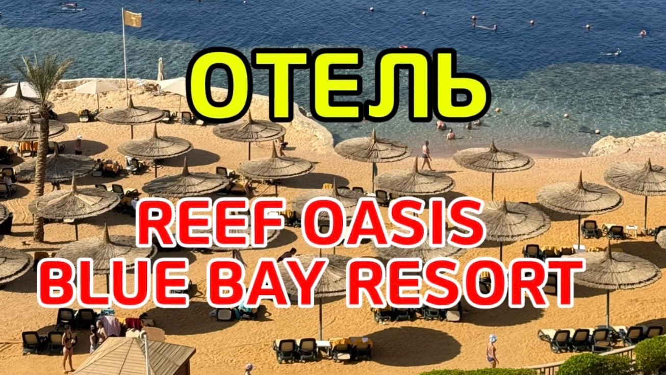 ЕГИПЕТ 🇪🇬 ШАРМ ЭЛЬ ШЕЙХ 🌴 Мой ОТЗЫВ об ОТЕЛЕ 🌴 чемодан 🧳 автобус 🚌 аэропорт ✈️