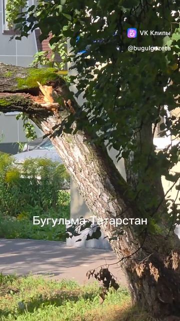 Коммунальные службы устраняют последствия стихии. Работы очень много