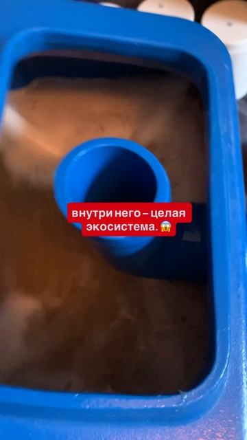 Первая химчистка 15 летнего матрасаЧистый вид