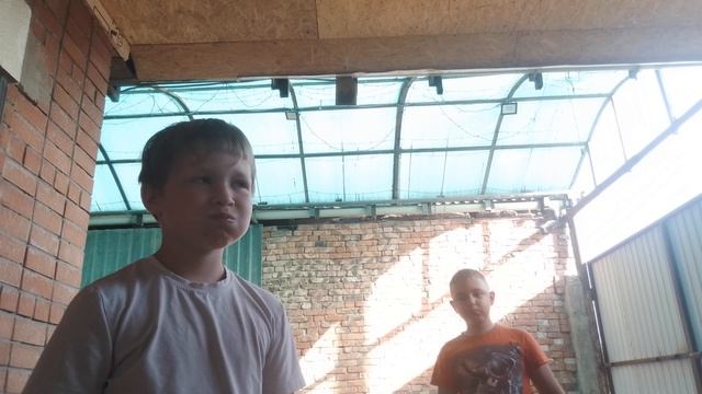 VID_20260810_172214.mp4