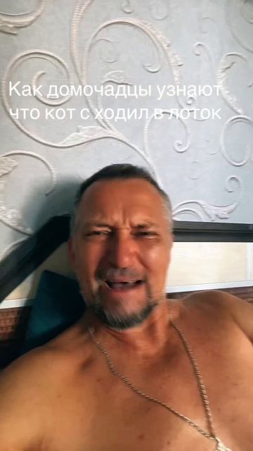 Кот