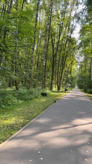 Электросталь, парк „Авангард“: место, где хочется остановиться и просто подышать.