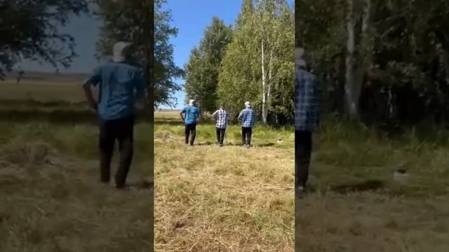 Бесәнсе егеттәр бейеүе