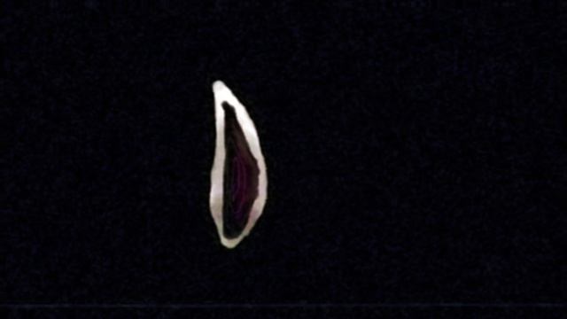 - ..- -.. .- / .--. --- .--. .- -.. .- ..-- - / - . --..-- / -.- - --- / ... --- .-- . .-. ---- .. .