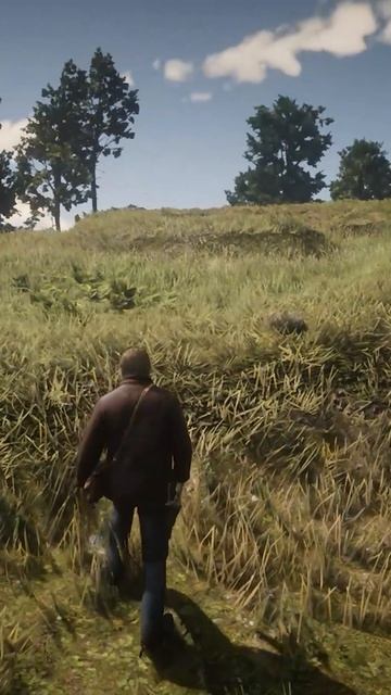 Змеиный курган в RDR 2