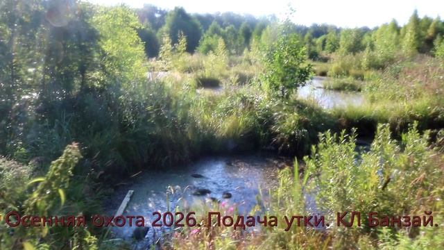 Осенняя охота 2026.